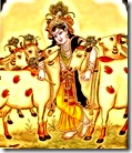 [Krishna with cows]