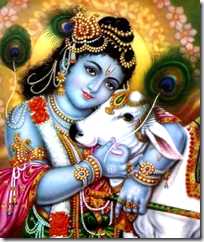 [Krishna with cow]