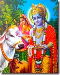 [Krishna with cows]