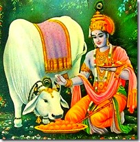 [Krishna with cow]